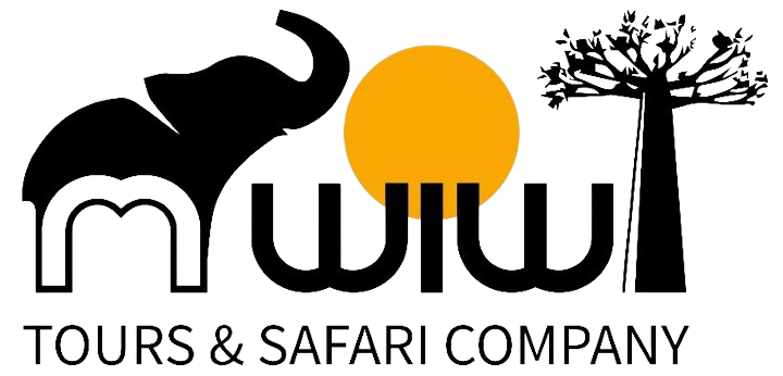 Tours and Safari Company