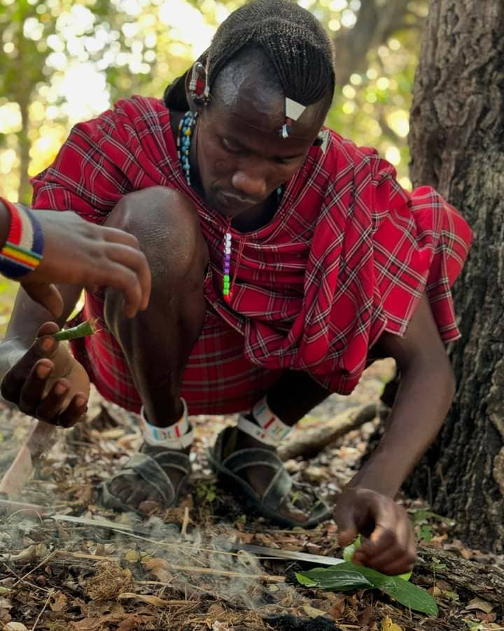 DAY 3: BUSH WALK  & CULTURAL TOUR