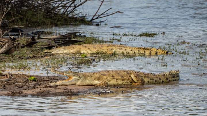 PRISON ISLAND (CHANGU ISLAND) BOAT TRIP